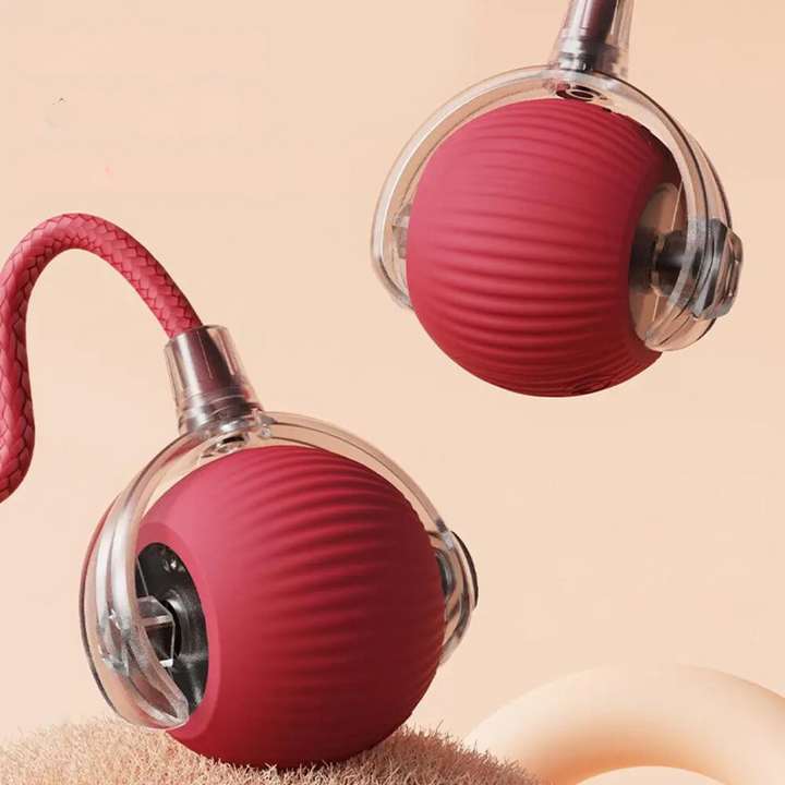 Interaktív Zsákmánylabda Macskáknak - PouncePal