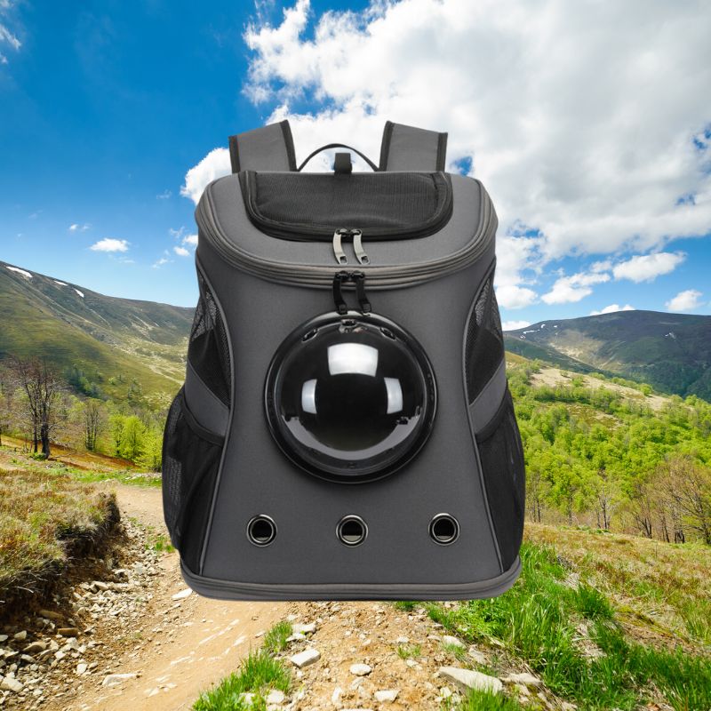 Kiscicák Rejtője - CatTrekker