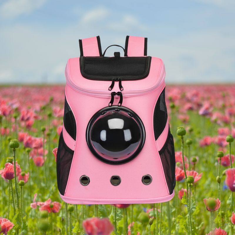 Kiscicák Rejtője - CatTrekker