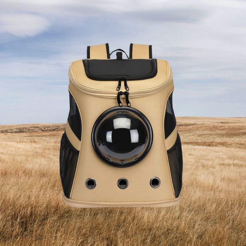 Kiscicák Rejtője - CatTrekker