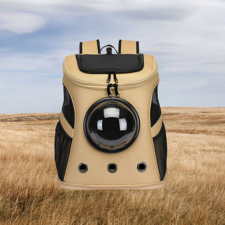 Kiscicák Rejtője - CatTrekker