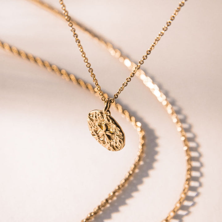 Nyaklánc homokdollár medállal - Marisol