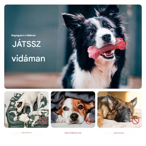 A Játékos Fogorvos Kutyák Számára - BuddyChew