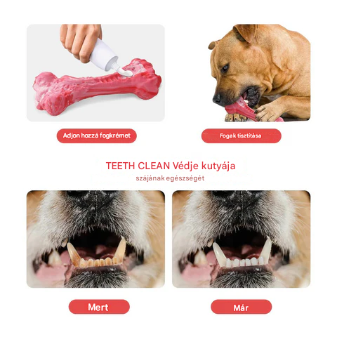 A Játékos Fogorvos Kutyák Számára - BuddyChew
